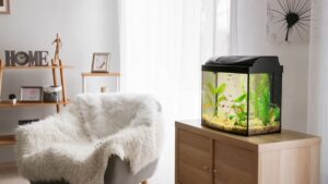 Bể cá cảnh hiện đại trong không gian nội thất đẹp