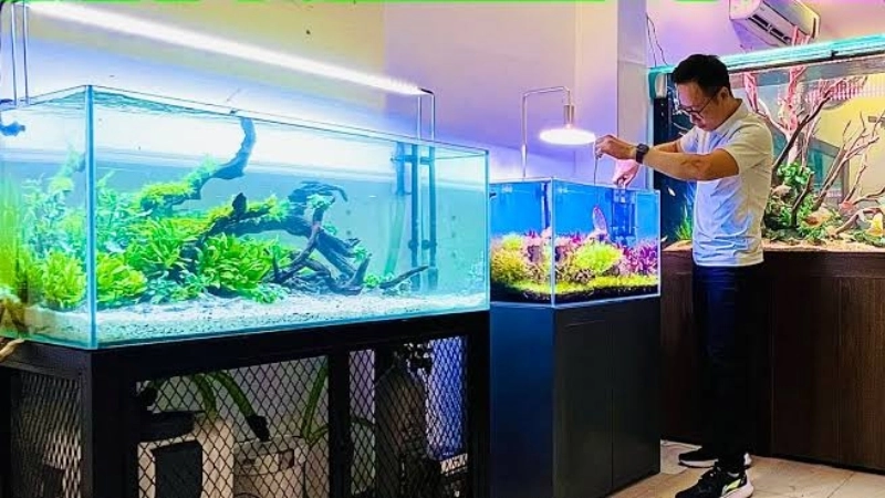 Hướng dẫn vệ sinh hệ thống lọc